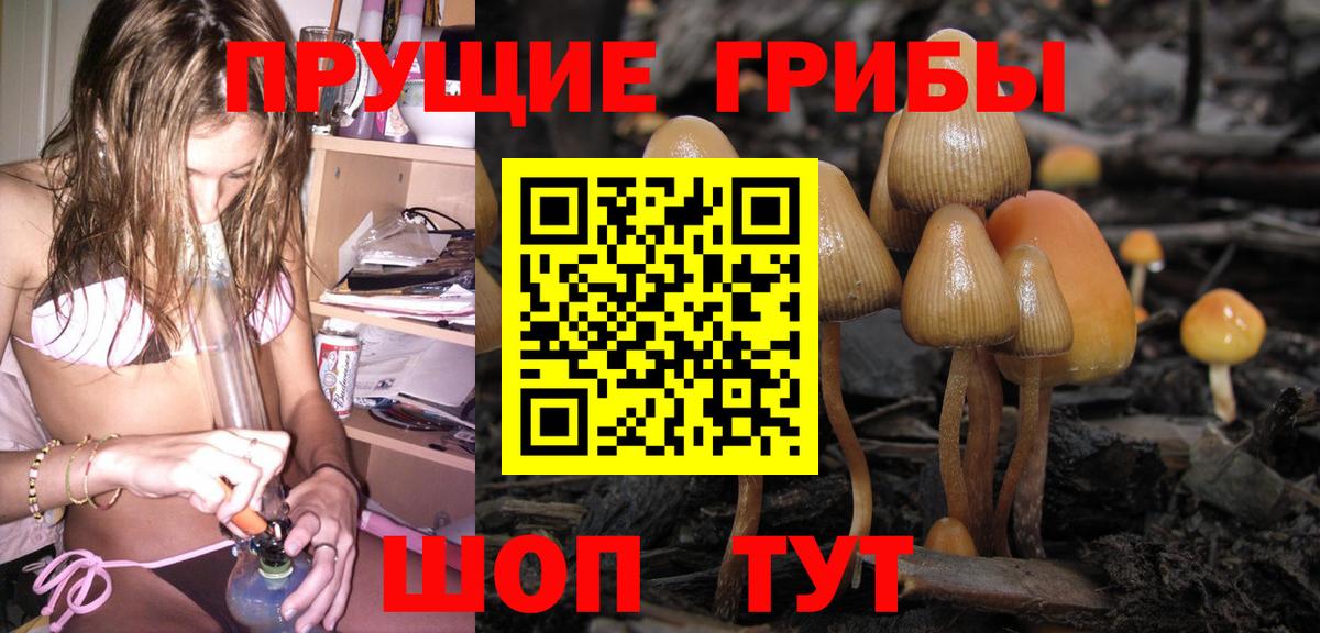 Псилоцибиновые грибы прущие грибы Абакан